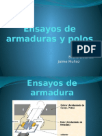 Ensayos de Armaduras y Polos