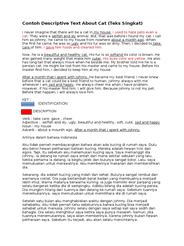 Descriptive Text About My Cat Johnny | PDF | Language Arts & Discipline ...