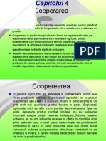 Curs II IEA cooperare.ppt