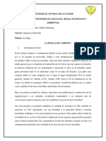 Consulta Ecologia Huella de Carbono