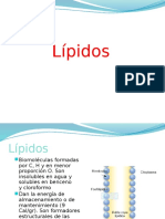 LIPIDOS-PROTEINAS
