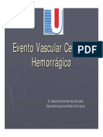 Evc Hemorragico