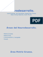 Neuro Des Arrollo