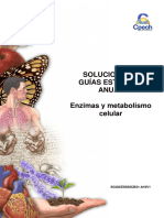 2016 Solucionario Guía 7 Enzimas y Metabolismo Celular