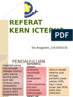 Referat Kern Icterus