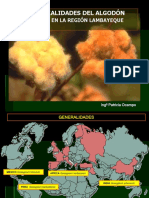Algodon nativo de colores (1).pdf