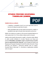 studiuprivindocupareatinerilorsomeri