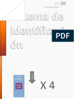 Sistema+de+Identificación.pdf