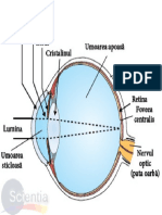 anatomia_ochiului.pdf