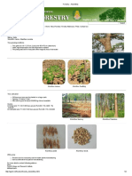 Match wood tree details