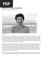 AMARELO – Bruno Cosentino - Revista Piauí