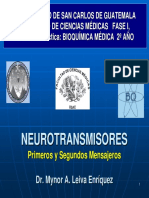 Neuro Transm i Sores 1