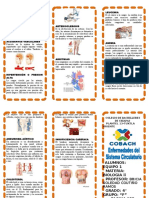 Triptico Enfermedades Del Sistema Circulatorio