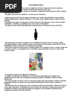 Curiosidades Felinas