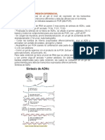 Análisis de La Expresión Diferencial