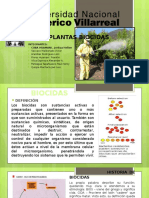 G - 12 Plantas Biocidas