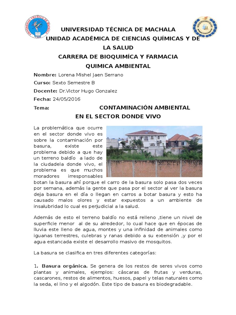 Impacto de la Basura en el Suelo | PDF | Residuos | Contaminación