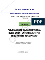 Perfil de Proyecto de Inversión Publica 2010 Casapia