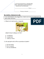 Diagnóstico Cs. Naturales 4º Comunal