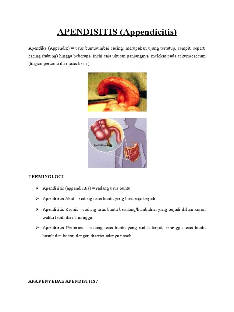 Gejala dan Terapi Apendisitis Akut | PDF | Pengembangan Diri