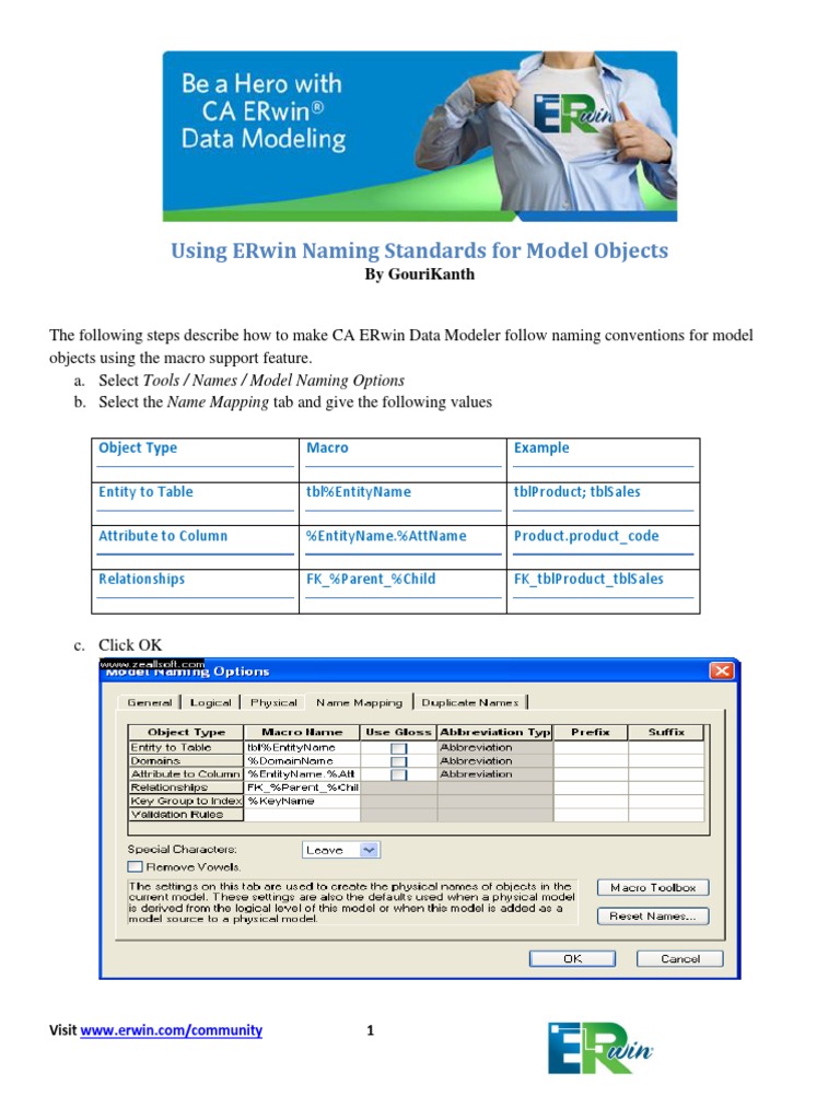 ERwin Model Object Naming Standards Guide | PDF