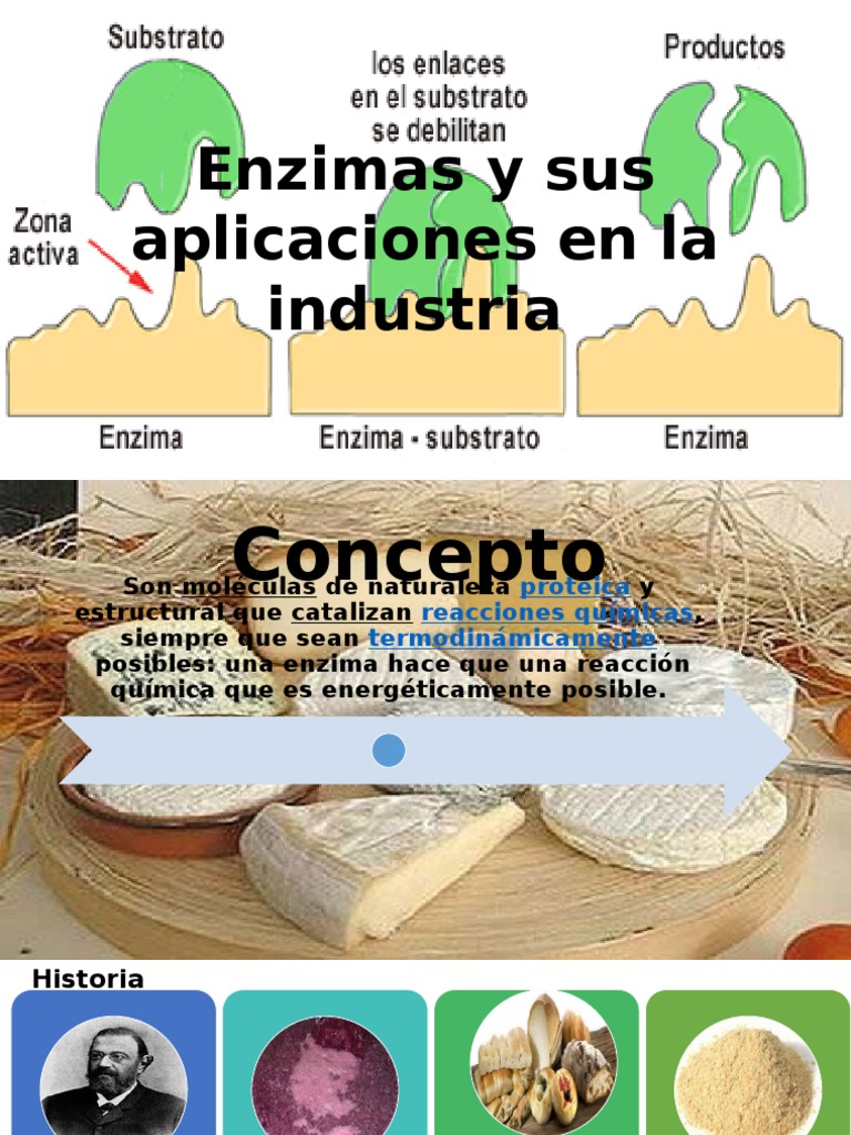 Enzimas y sus aplicaciones en la industria