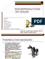 Parametros Reproductivos en Yeguas