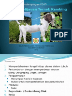 Pakan Kambing