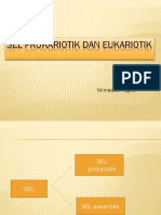 Sel Prokariotik Dan Eukariotik