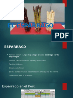 El Esparrago