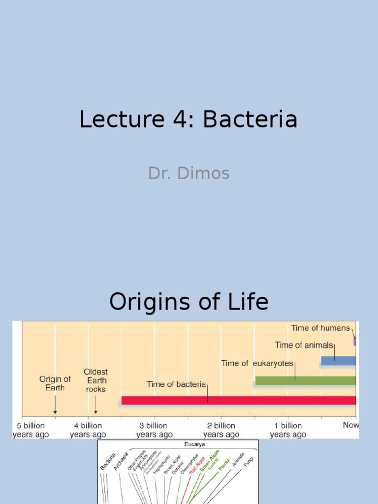 Dr. Dimos' Lecture 4 An InDepth Exploration of Bacterial Structure