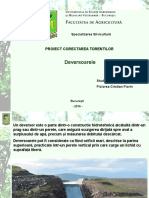 Proiect Corectarea Torentilor Piciorea Cristian Florin.pdf