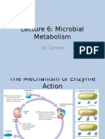 Lecture 6 Microbial Metabolism