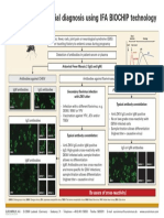 Zika-Serological Differential Diagnosis IFA-EUROIMMUN