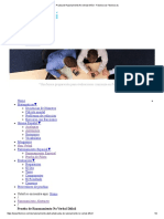 Prueba de Razonamiento No Verbal Difícil - Fibonicci - Es Fibonicci