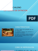 El Puma Chileno Trabajo Ciencias Naturales