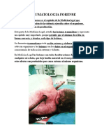 Lesiones traumáticas forenses