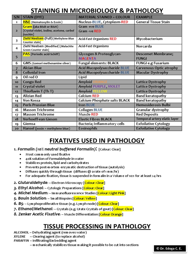 Stains, Fixatives Tissue Processing PDF