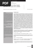 Artículo Redes Neuronales