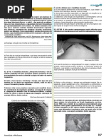 45 Annelida e Mollusca