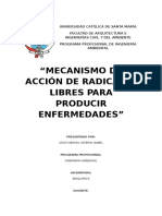 Mecanismo de Acción de Radicales Libres para Producir Enfermedades