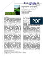 Adubação Verde para Pimentão.pdf