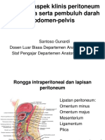 (KP12M4) Dr. Sasanto - Beberapa aspek klinis peritoneum dan viscera abdomen-plevis.pdf