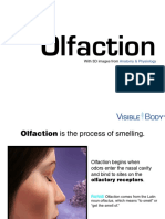 Olfaction: With 3D Images From