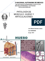 Patología Muscular, Ósea y Articular