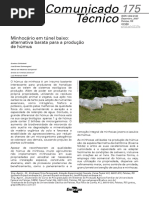 Minhocário Em Túnel Baixo