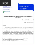 Substratos Para Mudas de Beterraba
