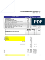 Calculo de Remuneracion Hora-Hombre Desagregado - 2010 Personal de Obra