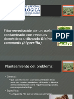 Fitorremediación de Un Suelo Contaminado Con Residuos Domésticos