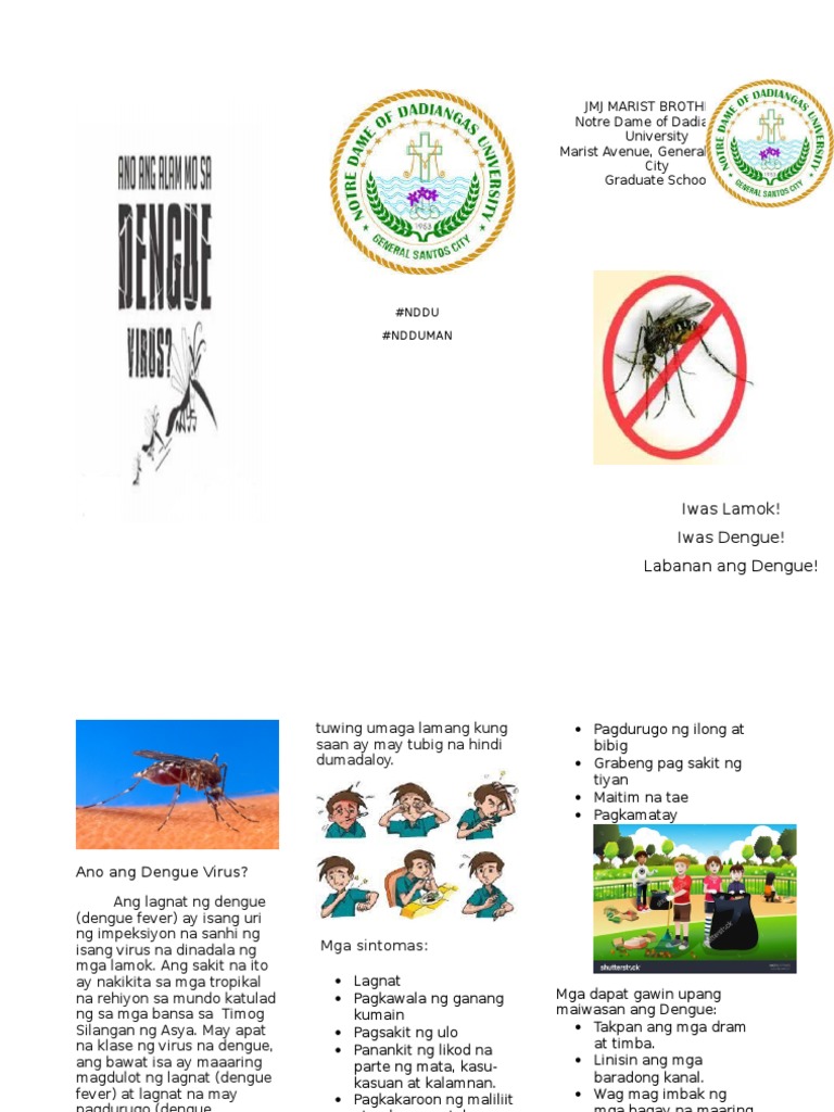 Dengue Flyers Pdf